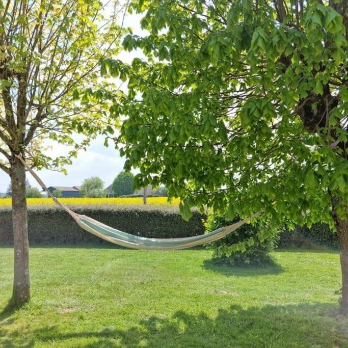 Grande Maison De Plain Pied Avec Jardin Arbore. Champignelles Buitenkant foto