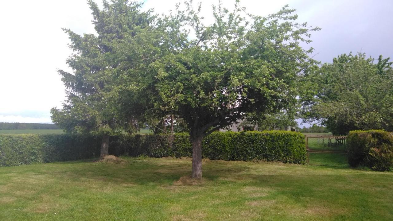 Grande Maison De Plain Pied Avec Jardin Arbore. Champignelles Buitenkant foto